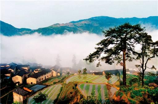 虫虫助手下载