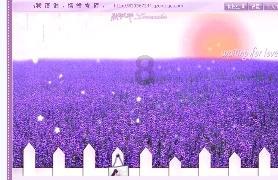 小猫钓鱼游戏龙王版有船